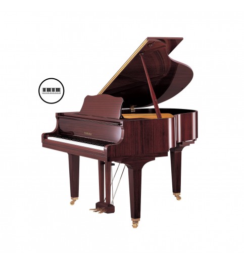 Yamaha GB1K Disklavier Enspire Yamaha GB1K Disklavier Enspire